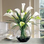 Composizioni di fiori freschi in vaso